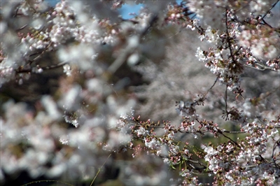 岸根公園_神奈川