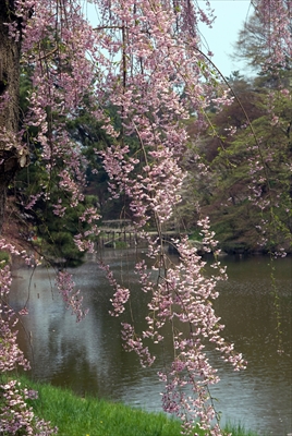 弘前公園_青森