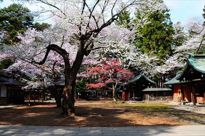 陸中一宮駒形神社_岩手