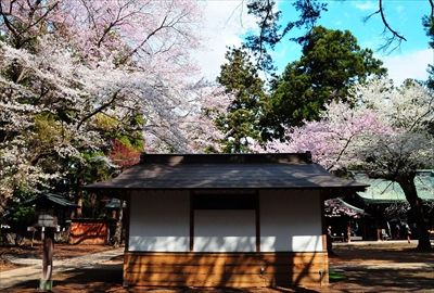1040_陸中一宮駒形神社_岩手