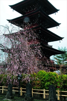 1060_弘前市最勝院_青森