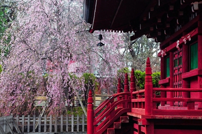 弘前市最勝院_青森