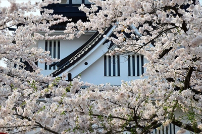 1016_横手城_秋田