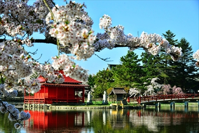 1025_猿賀公園_青森