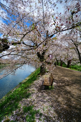 弘前公園_青森