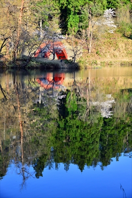 横手公園牛沼_秋田