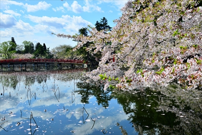 猿賀公園_青森