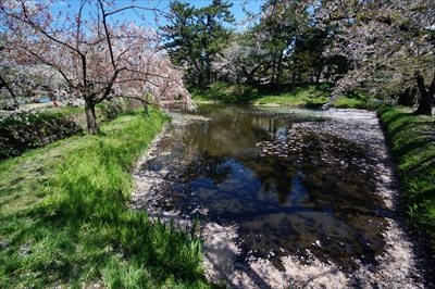 1140_弘前公園_青森