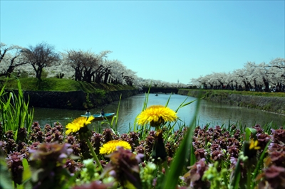 1092_函館五稜郭公園_北海道