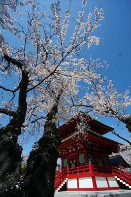 孝道山_神奈川