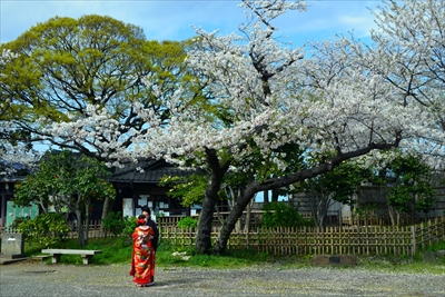 三渓園_神奈川