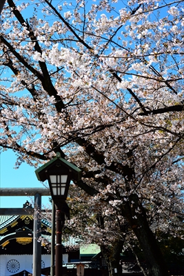靖国神社_東京
