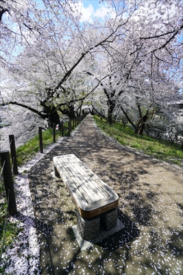 霞城公園_山形