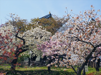 松前城_北海道
