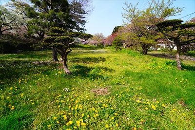 松前城_北海道