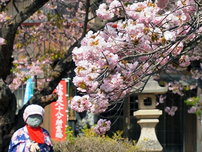 松前城_北海道