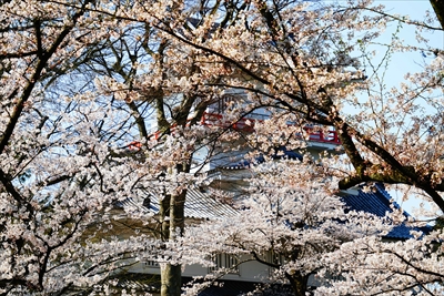 千秋公園_秋田