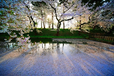 弘前公園_青森