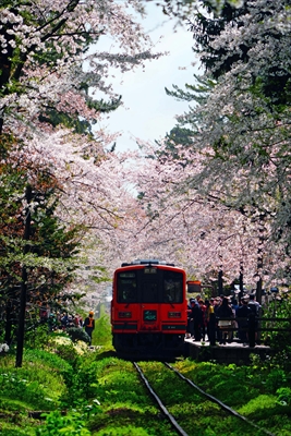 芦野公園_青森