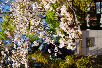 1016_爆心地公園_長崎