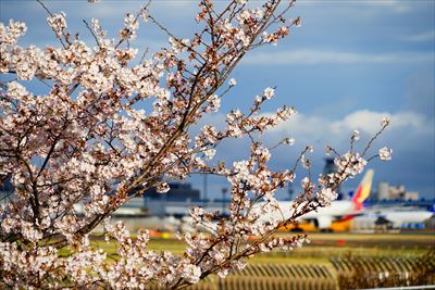 1014_成田市さくらの山_千葉