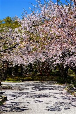 猿賀公園_青森
