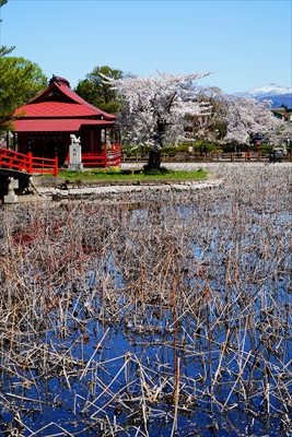 1049_猿賀公園_青森
