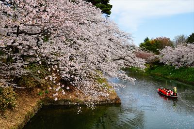 1179_弘前公園_青森