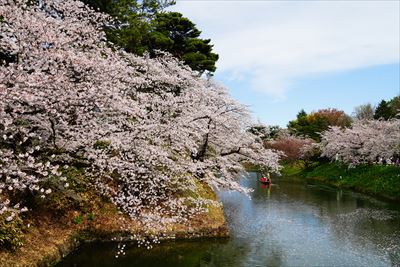 1180_弘前公園_青森