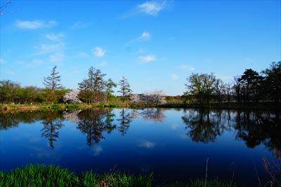 1183_浪岡湿生花園_青森