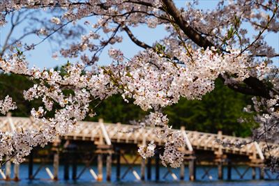 1027_鶴の舞橋_青森