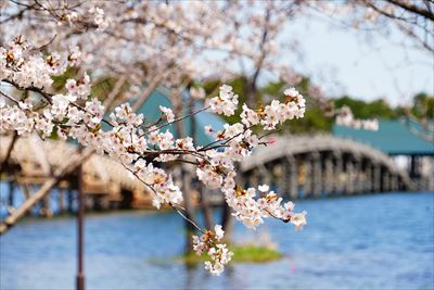 1030_鶴の舞橋_青森