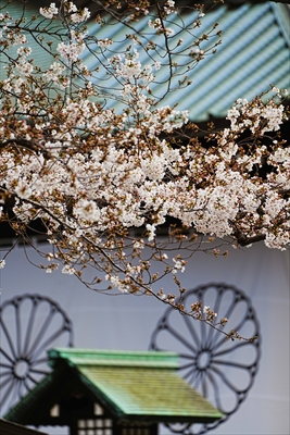 靖国神社_東京