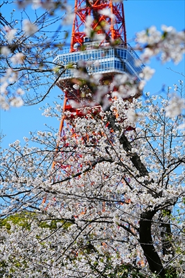 1132_芝公園_東京