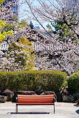 1138_増上寺_東京