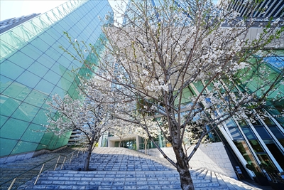 1126_虎ノ門ヒルズ_東京
