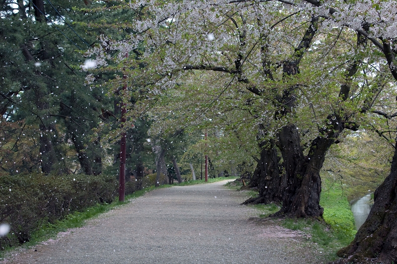 1005_弘前公園_青森