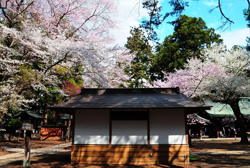 1040_陸中一宮駒形神社_岩手