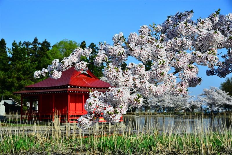 1017_猿賀公園_青森