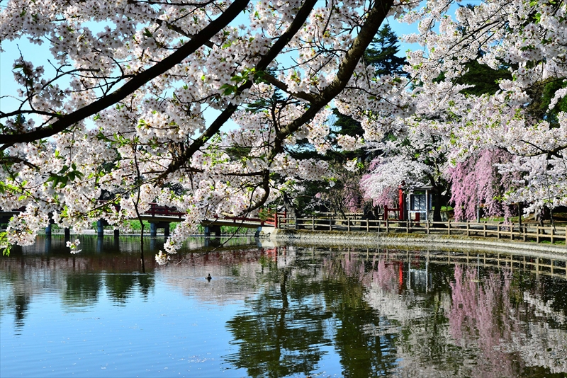 1014_猿賀公園_青森