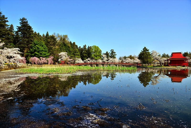 1021_猿賀公園_青森