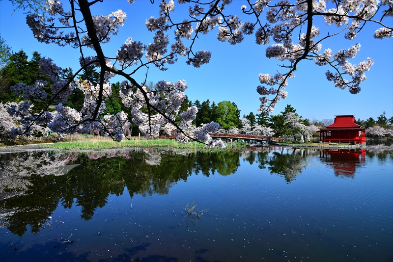 1022_猿賀公園_青森
