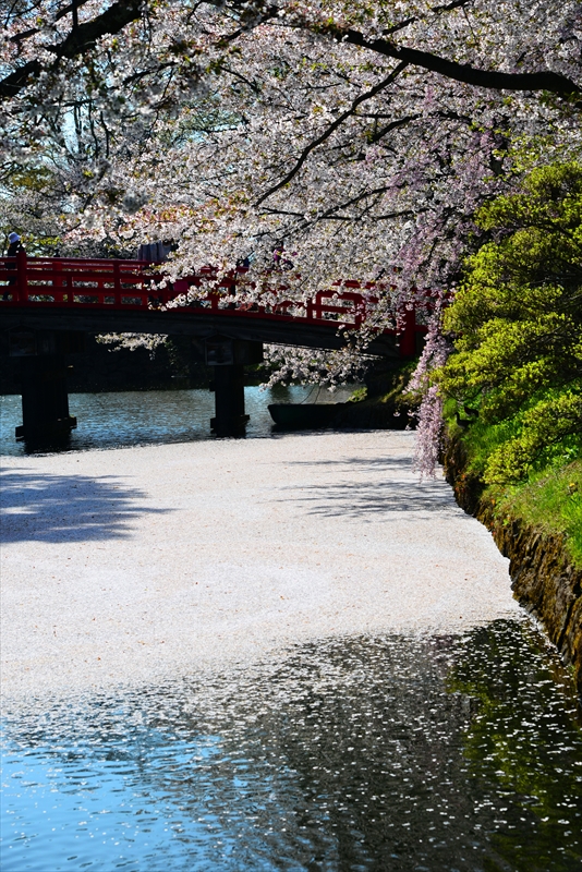 1199_弘前公園_青森