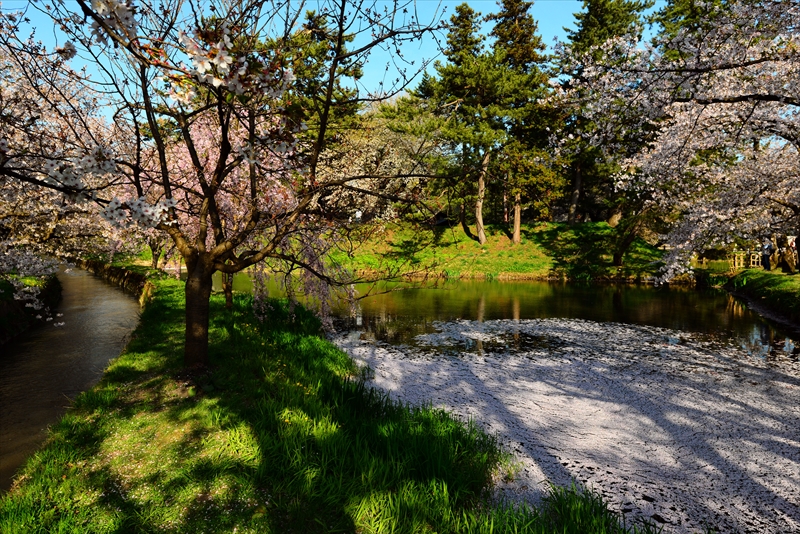 1201_弘前公園_青森