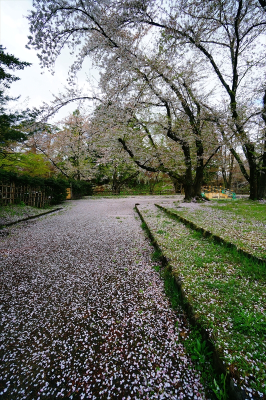 1204_弘前公園_青森