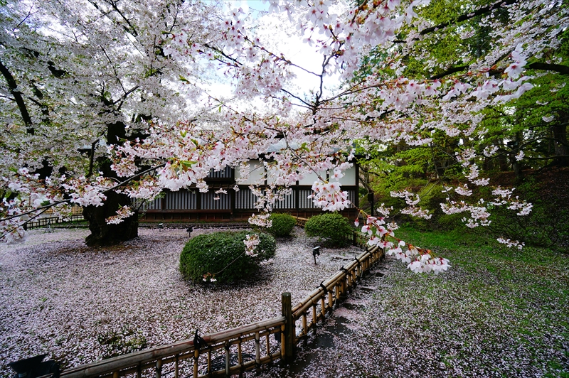 1205_弘前公園_青森
