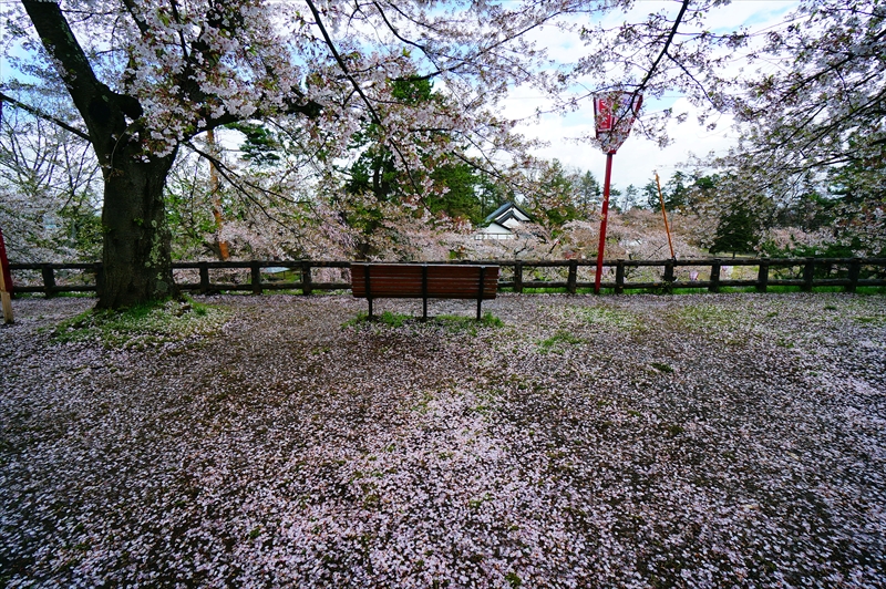 1206_弘前公園_青森