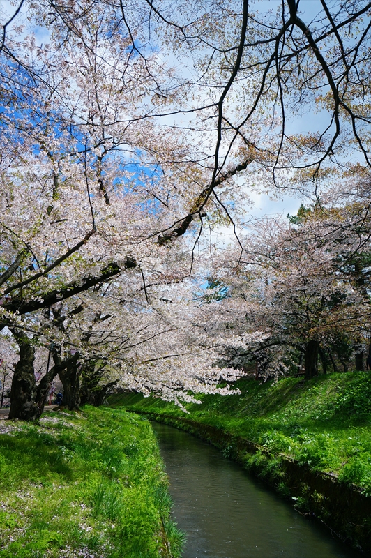 1210_弘前公園_青森