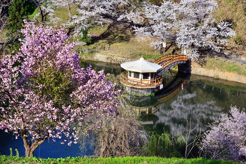 1001_横手公園牛沼_秋田