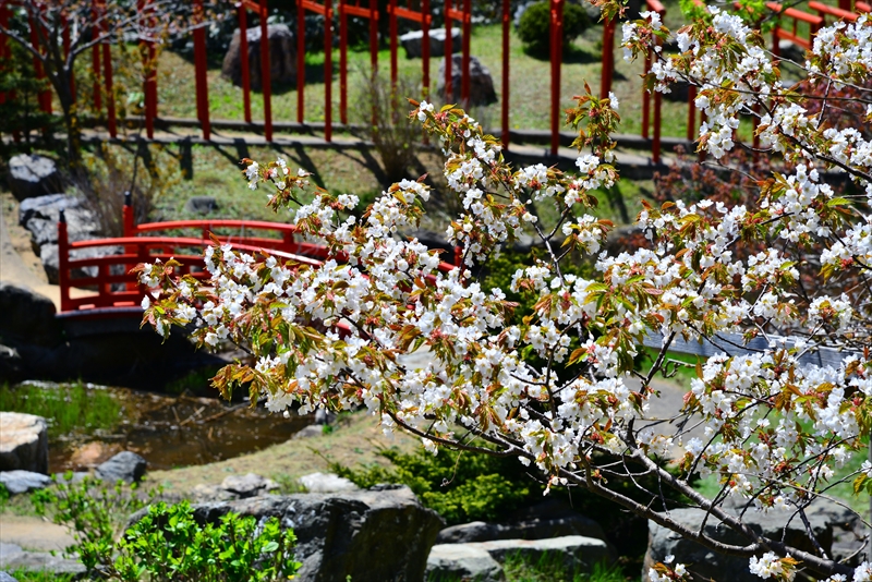 1056_高山稲荷神社_青森
